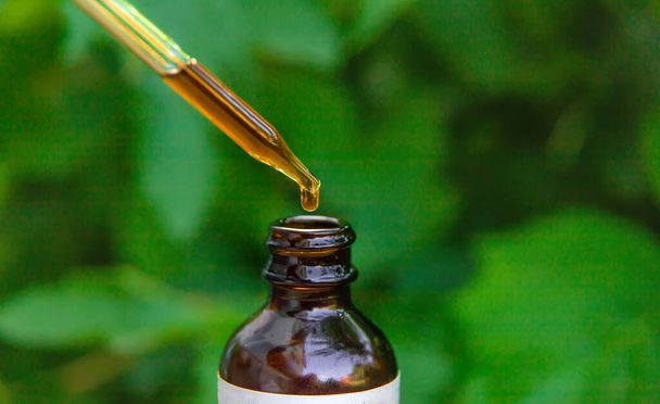 Extrait d'huile essentielle d'herbes médicinales dans une petite bouteille. Concentration sélective. Nature. - Photo, image