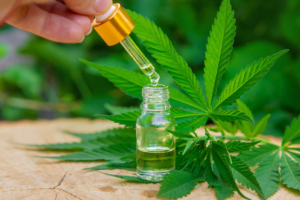Extracto de cannabis aceite esencial en una botella pequeña. Enfoque selectivo. Naturaleza. - Foto, imagen