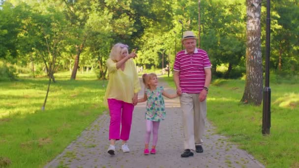 Child girl kid walking with senior grandmother and grandfather family holding hands in summer park - Footage, Video