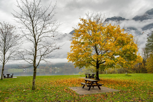 Moody paysage d'automne avec des arbres nus et des bancs sur la rive du lac de montagne. - Photo, image