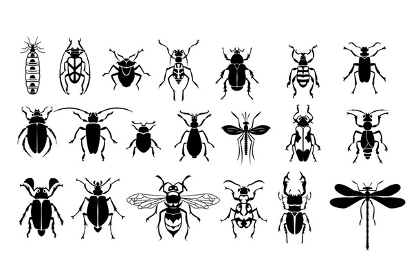 Insektenvektorset - Vektor, Bild