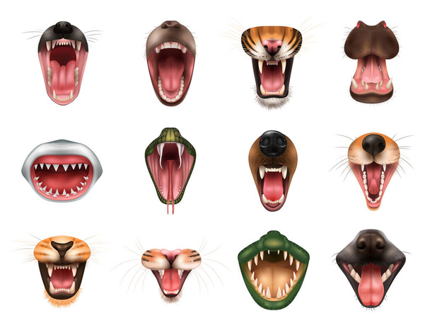 Set de boca de animal - Vector, Imagen