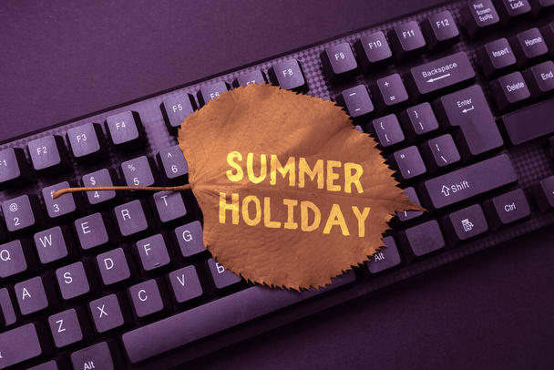 Text caption presenting Summer Holiday. Business idea special period of time in summer for relaxation and fun Typing Cooking Instructions And Ingredient Lists, Making Online Food Blog - Φωτογραφία, εικόνα