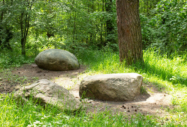 Δύο μεγάλες πέτρες κείτονται σε ένα ξέφωτο στο πάρκο. Το φως του ήλιου φωτίζει το μέρος. Έννοια φύσης. - Φωτογραφία, εικόνα