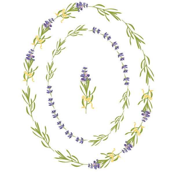 Set violeta Lavanda hermosos marcos florales plantilla en estilo acuarela plana aislada sobre fondo blanco para el diseño decorativo, tarjeta de boda, invitación, flayer de viaje. Ilustración botánica - Vector, Imagen
