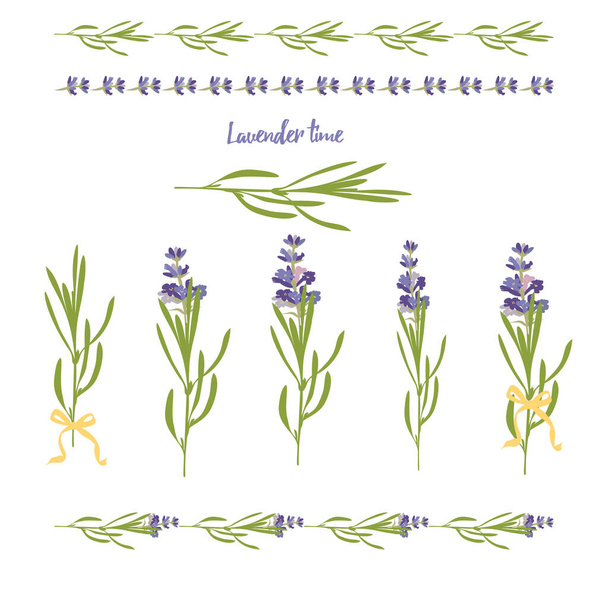 Set violet Lavender beautiful floral elements in flat watercolor style isolated on white background for decorative design, wedding card, invitation, travel flayer Botanical illustration. - Vector, Image