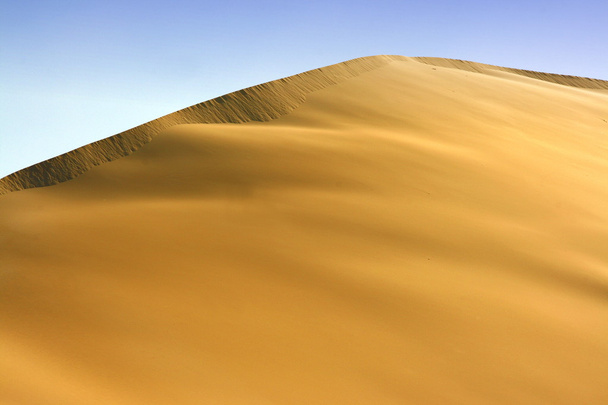 gyönyörű sivatagos dűne - Fotó, kép