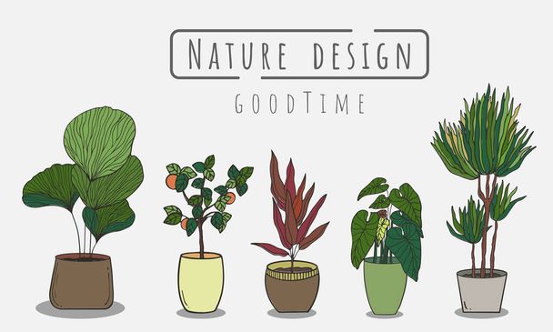 Tree painting Set, Indoor and outdoor landscape garden potted plants isolated on white, Vector set green plant in the pot. - Vector, Image