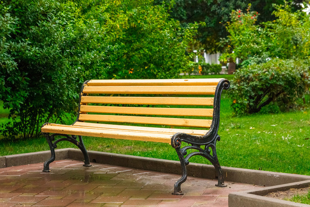 ławka w parku po deszczu - Zdjęcie, obraz