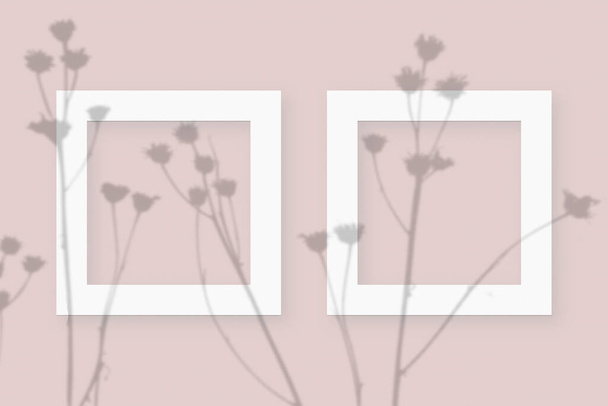 Mockup avec ombres végétales superposées sur 2 cadres carrés de papier blanc texturé sur un fond de table rose - Photo, image
