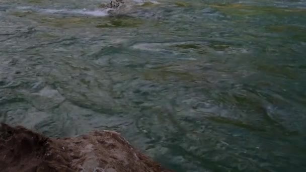 青い色合いの美しい嵐の山の川が急速に大きな石や岩の間を閉じる流れます。山の川は魅力的で注目を集めています。水平4kビデオスローモーション. - 映像、動画