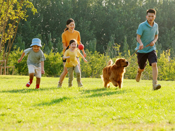 Happy family of four and pet dog playing in the park - Photo, image