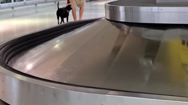 Чемодан или багаж с конвейерной лентой на выдачу багажа в аэропорту - Кадры, видео