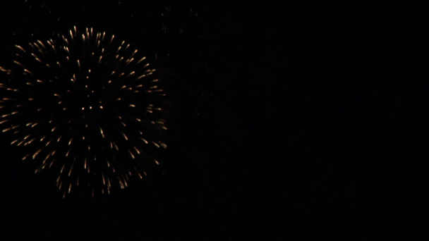 Fireworks in nighttime sky - Footage, Video