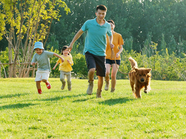 Happy family of four and pet dog playing in the park - Zdjęcie, obraz