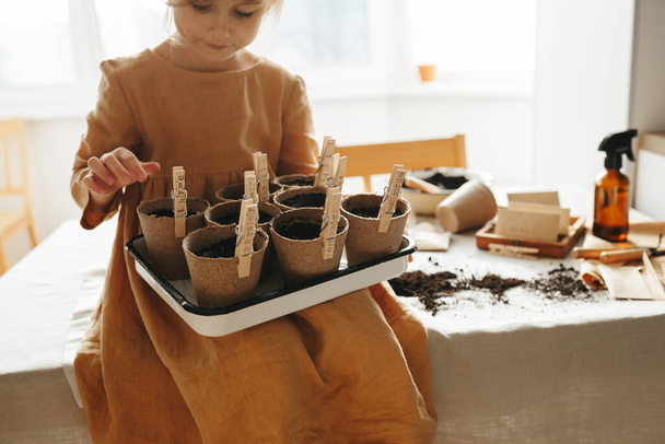 6 years old girl planting herbs at home - 写真・画像