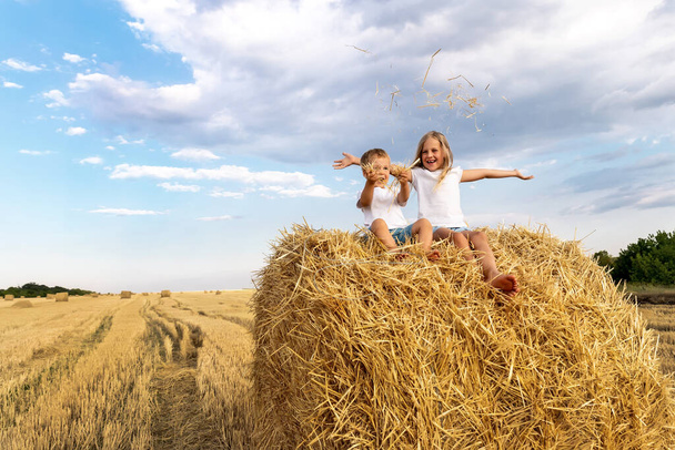 Two cute adorable caucasian siblings enjoy having fun sitting on top over golden hay bale on wheat harvested field near farm. Happy childhood and freedom concept. Rural countryside scenic landscape - Foto, imagen