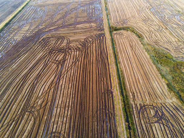 Aerial view of rice plantation fields and farm dirty road, Venancio Aires, Rio Grande do Sul, Brazil - Foto, Imagen