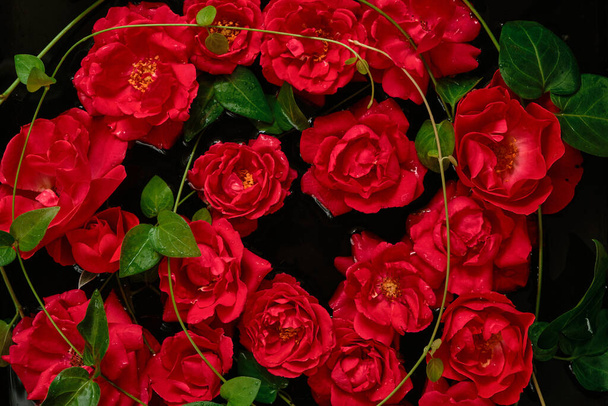 Red roses and green leaves on a black background. - Photo, Image