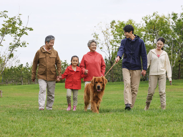 Happy family of five and pet dog walking in the park - Foto, Imagem