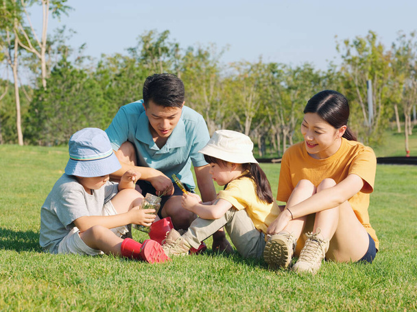 Šťastná čtyřčlenná rodina si hraje v parku - Fotografie, Obrázek