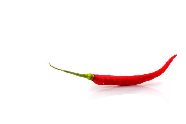 punainen kuuma chili pippuri eristetty valkoisella pohjalla - Valokuva, kuva