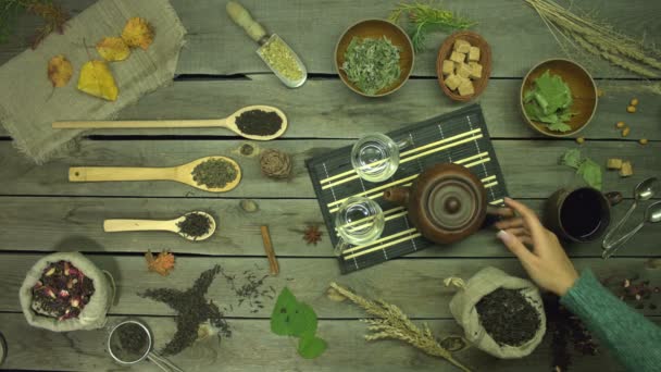 Black tea on an old wooden table. Flat lay. Still life with different types of tea: black, green, mate, hibiscus, floral, fruit, herbal.A female hand pours black tea into mugs. The hands of two men take these mugs. - Footage, Video