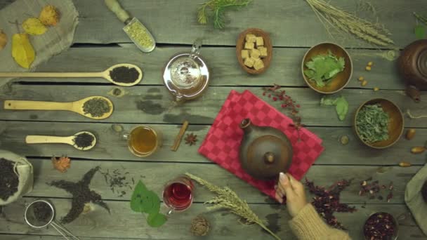 Tea egy régi fából készült asztalon. Lapos fekvés. Csendélet különböző teafajtákkal: fekete, zöld, haver, hibiszkusz, virág, gyümölcs, gyógynövény.A női kéz az asztalra teszi a teáskannát. Lassú mozgás 2x. - Felvétel, videó