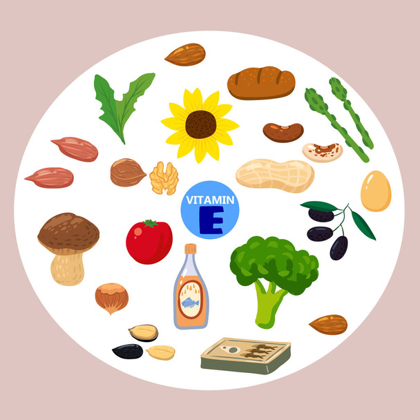 Állítsa be a K-vitamin eredetű természetes források. Egészséges naplóételek, zöldségek, bogyók, halak, gombák, tojások. Organikus étrend termékek, természetes táplálkozás gyűjtemény. Vektor lapos rajzfilm - Vektor, kép