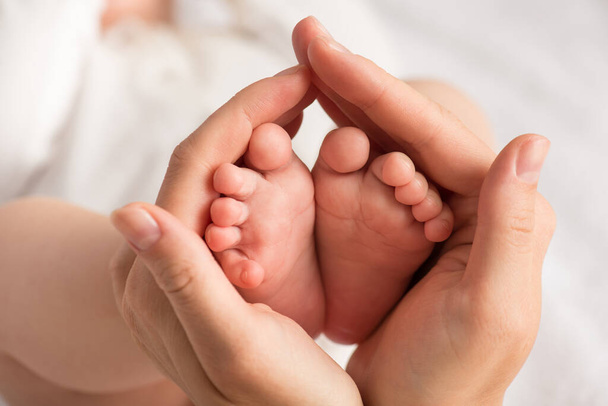 Closeup photo of newborn's feet in mother's palms on isolated white textile background - Foto, imagen