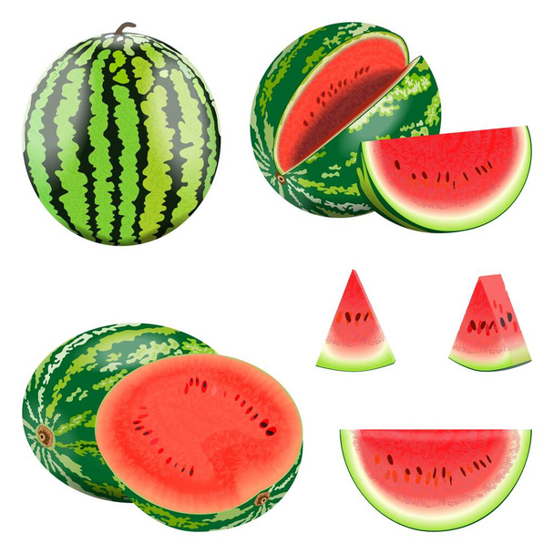 Set of watermelons. Whole and sliced, half and quarter of a watermelon. Ripe, juicy, sweet watermelon for banner, flyer, menu. Watermelon day. Fresh summer fruits and berries. Vector illustration. - Vektor, kép