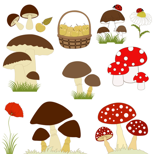 Set of cartoon mushrooms - Vetor, Imagem