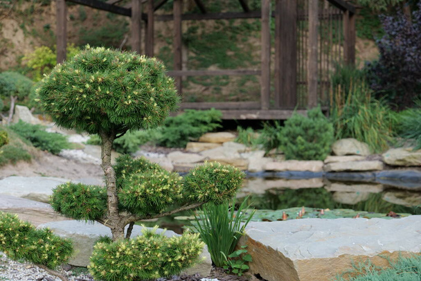 landscape design in the style of a Japanese garden - Photo, Image