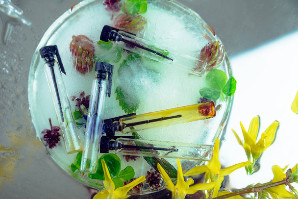 Disposition de cinq flacons en verre avec couvercle noir et pipette sur un morceau de glace rond avec des feuilles et des fleurs gelées. Concept d'ingrédients cosmétiques naturels. - Photo, image