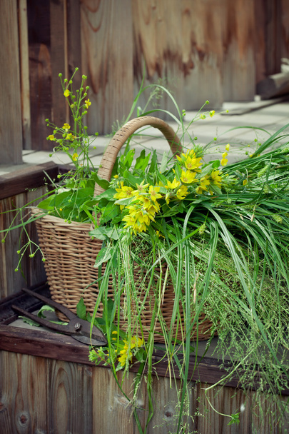 Cesta de flores silvestres e grama na casa de campo passos de madeira
 - Foto, Imagem