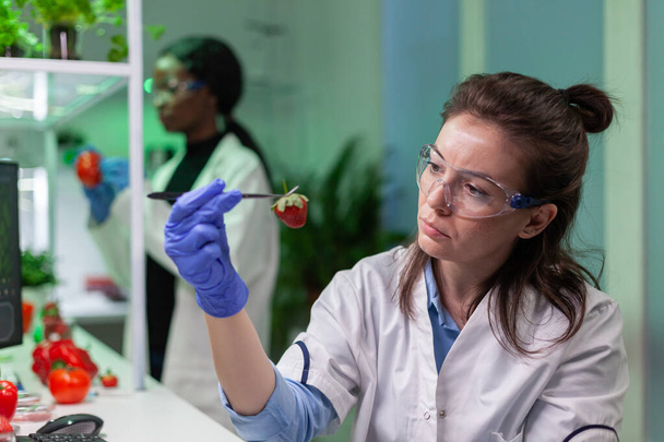 Químico cientista verificando morango usando pinças médicas - Foto, Imagem