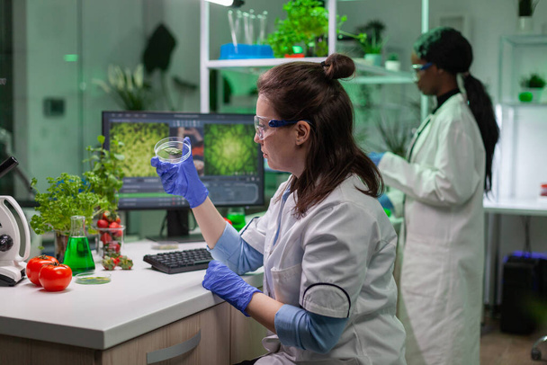 Mujer botánica mirando placa petri con prueba de gmo de comprobación de muestras de hojas - Foto, Imagen