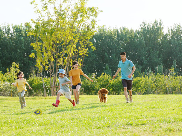 Happy family of four and pet dog playing in the park - Fotoğraf, Görsel