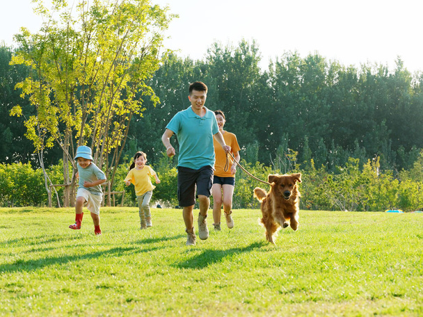 Happy family of four and pet dog playing in the park - Фото, зображення