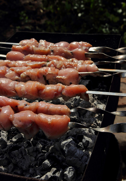 Skewers of chicken, cooked on the grill - Foto, Imagem