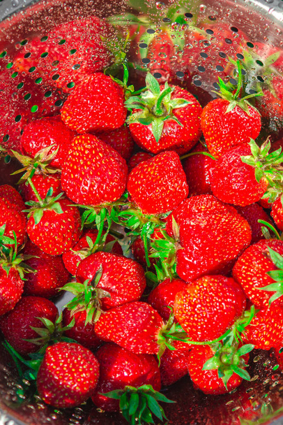 Les fraises rouges mûres dans une passoire en acier inoxydable sont rincées sous l'eau. Agriculture et agriculture fruitière écologique concept - Photo, image