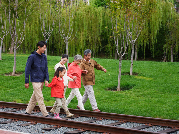 Una familia feliz de cinco caminando al aire libre - Foto, Imagen