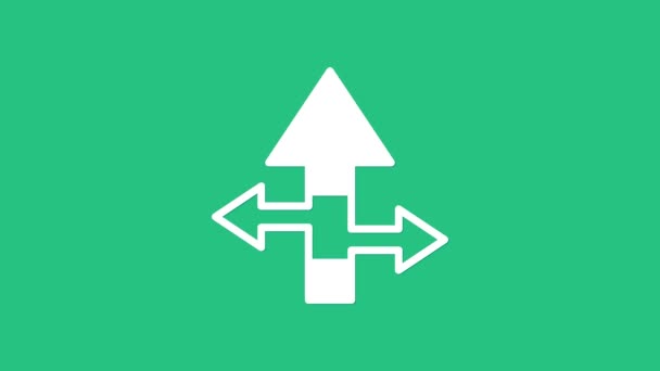Fehér nyíl ikon elszigetelt zöld alapon. Irány Nyílhegy szimbólum. Navigációs mutatójel. 4K Videó mozgás grafikus animáció - Felvétel, videó