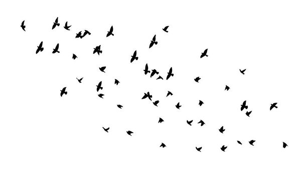 Uno stormo di uccelli volanti. Illustrazione vettoriale - Vettoriali, immagini