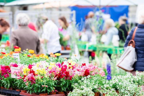 Virág piac elmosódott emberekkel.Homályos háttér.Tavaszi, nyári piac. - Fotó, kép