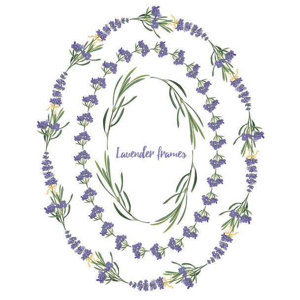 Set violeta Lavanda hermosos marcos florales plantilla en el estilo de acuarela vectorial aislado sobre fondo blanco para el diseño decorativo, tarjeta de boda, invitación, flayer de viaje. Ilustración botánica - Vector, Imagen