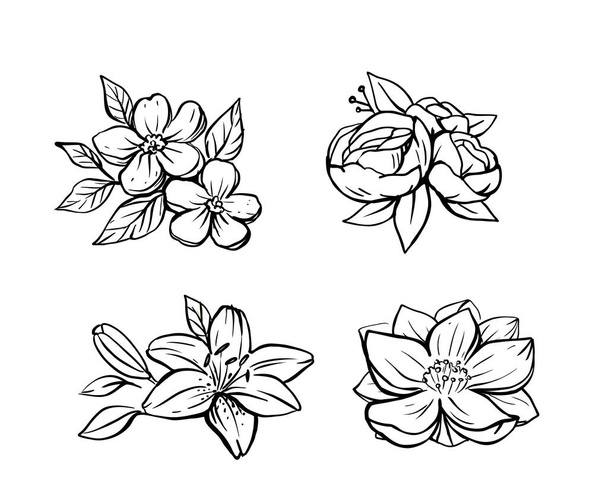 Flower Set sketch vector. Floral composition - Vector, afbeelding
