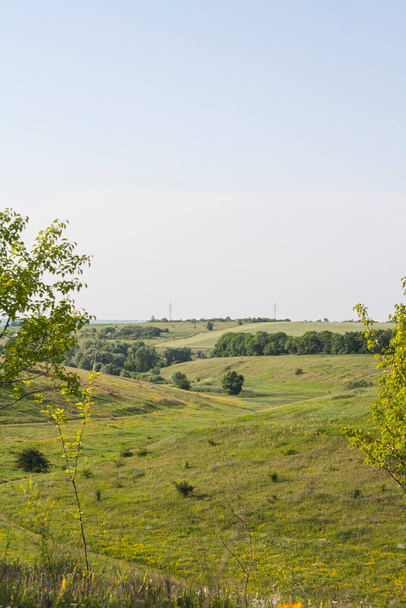 Paisajes naturales del campo en el verano. Campos verdes, llanuras y muchas flores silvestres - Foto, imagen