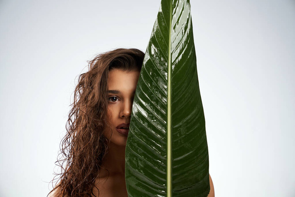 Naked woman hiding face behind big green leaf. - Fotó, kép