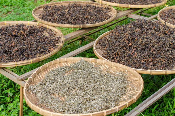 Bio-Schwarzweiß des Tees trockenen Prozess nach der Ernte - Foto, Bild
